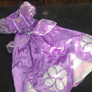 Disney Sophia the first dress
